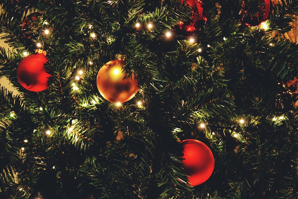 Christmas Tree Lights