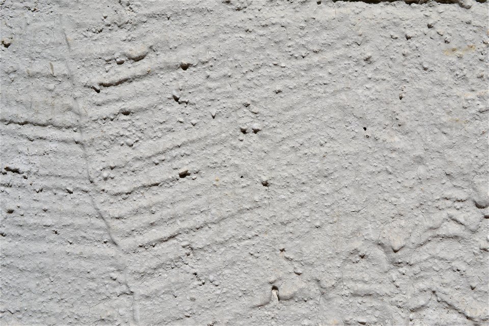 Free texture