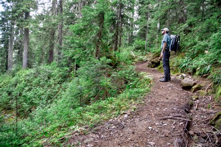 PNTA-Park Butte-Bell Pass-Mount Baker-18 photo