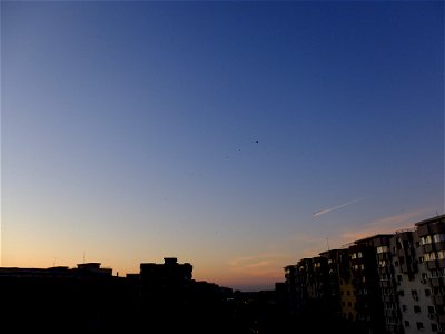 DSCF8361