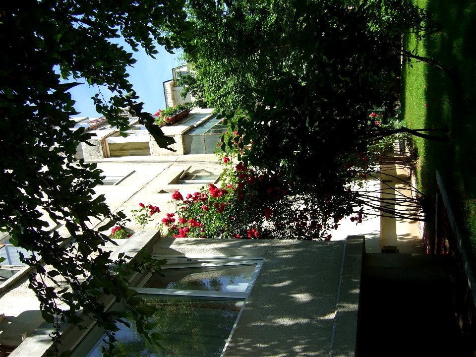trandaf2009_0531_110513