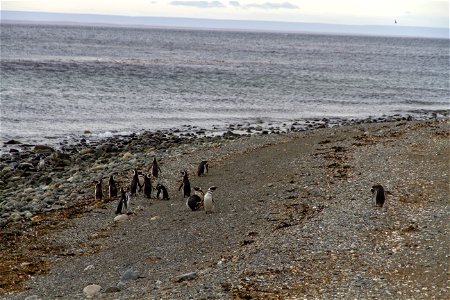 IMG_3967