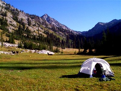 tent-in-wildernessjpg_49364581021_o