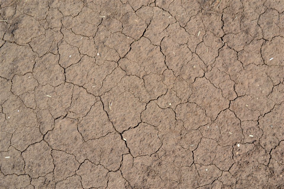Free textures with cracks