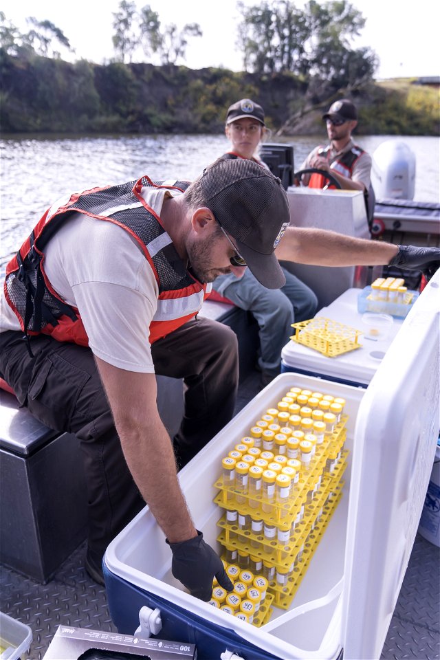 Invasive Carp eDNA Sampling on the James River in South Dakota.