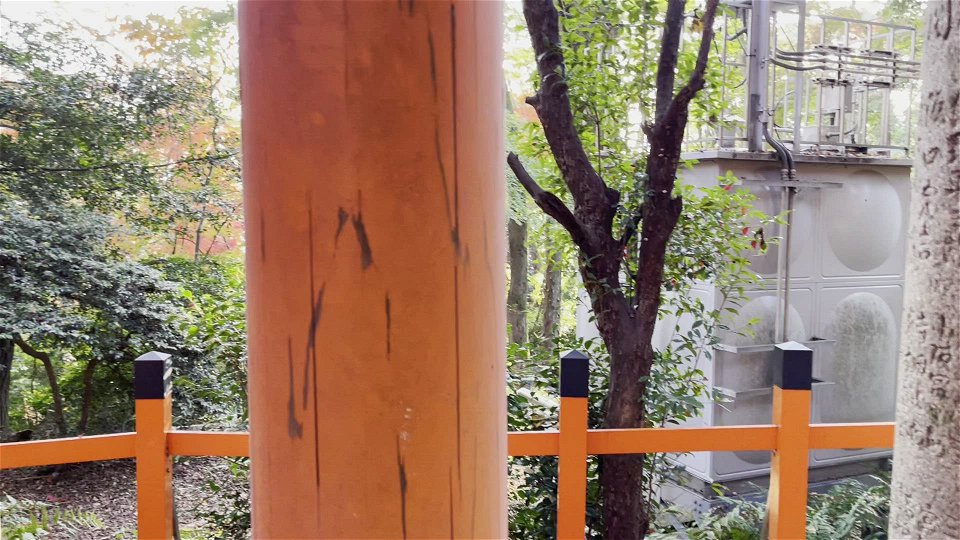 伏見稲荷/Fushimi Inari Shrine photo