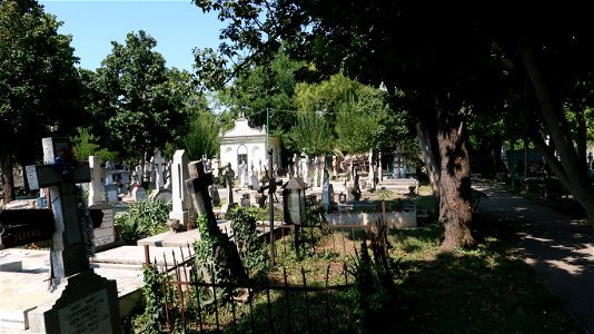 Bellu_cemetery (16) photo