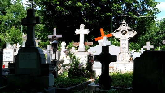 Bellu_cemetery (60)