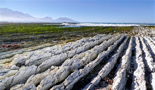 Vertical limestone rocks. Kaikoura NZ photo