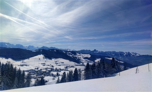 IMG_20220212_122331