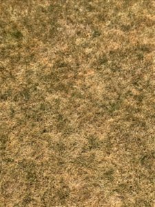 Drought Pic18