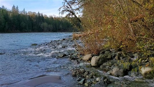 White Creek Sauk River Mt. Baker-Snoqualmie National Forest Matt Riggen November 8, 2021