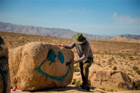 Ranger Brushing Down Graffiti