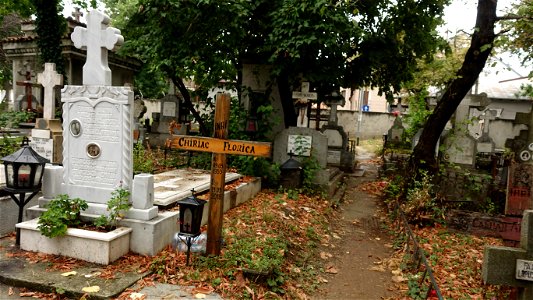 DSC06596