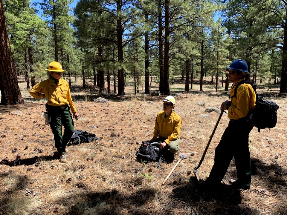 BAER team does looks at baseline soil conditions