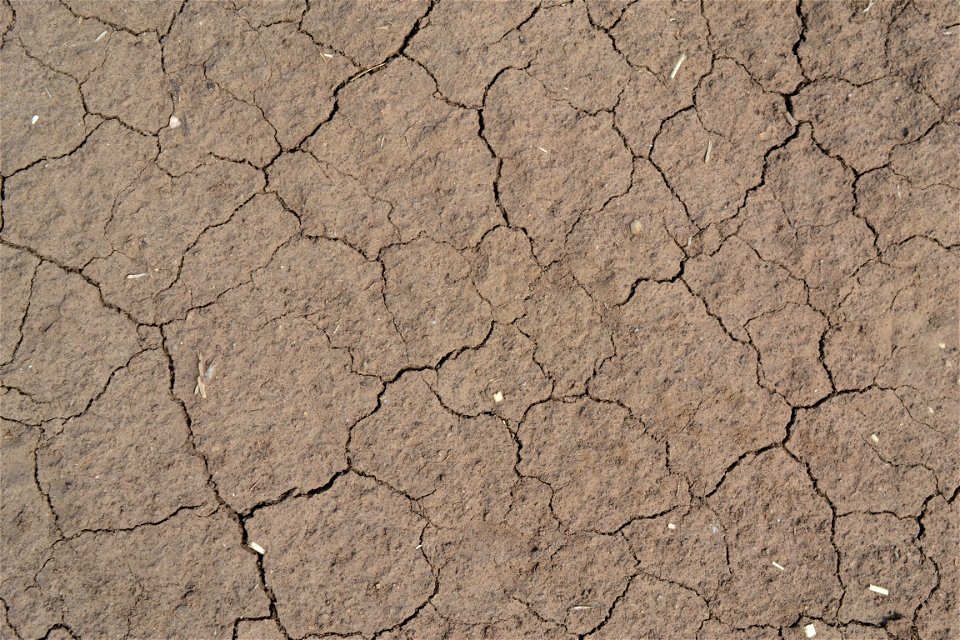 Free textures with cracks