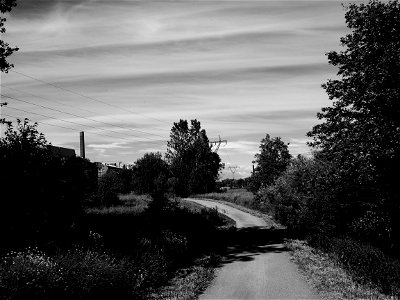 The Long Walk Home