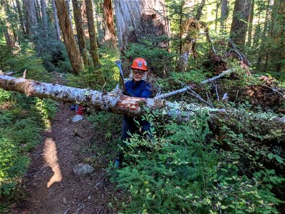 Judy K with Pulaski clearing trail as a volunteer with the Mountaineers at Church Creek Trail on the Olympic National Forest photo