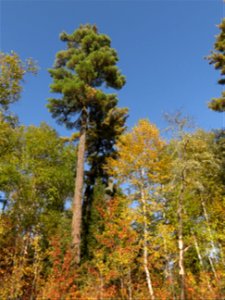 20210928-FS-Superior-SAR-010