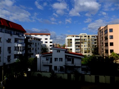 nori-sediu2015_0421_082548