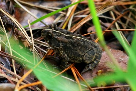 ZZIMG_8407