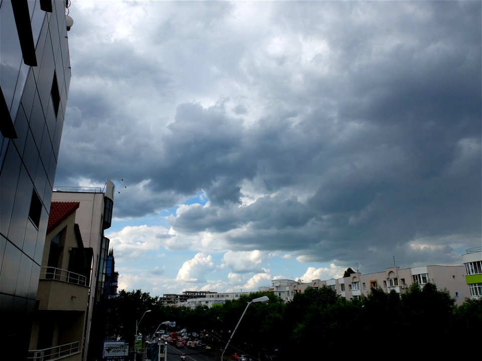 nori-sediu2015_0526_164845