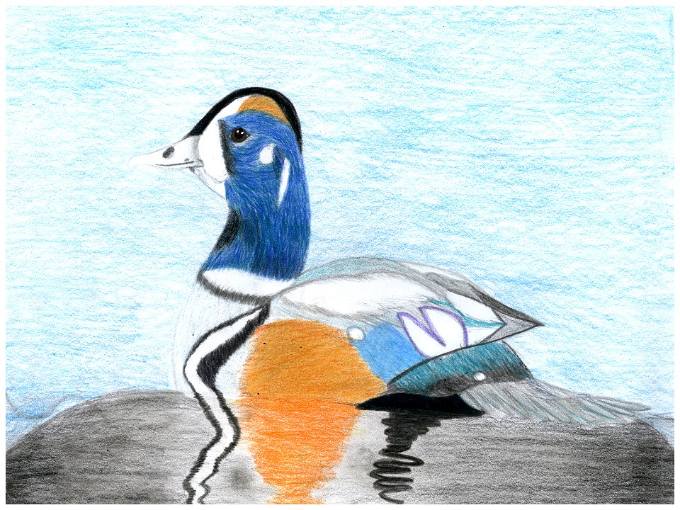 Group 2 Honorable Mention