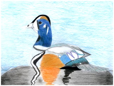Group 2 Honorable Mention