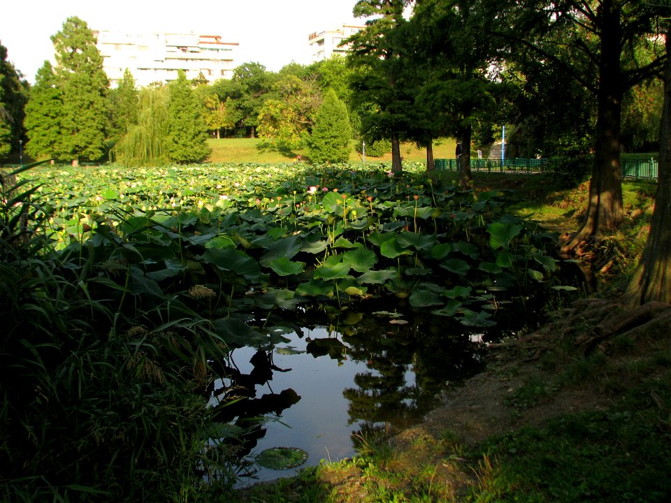 parcCirc2009_0909_175335