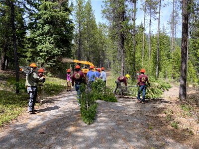 Removing Hazard Trees in Preparation for Use of Campgrounds  on the Umpqua National Forest, Oregon