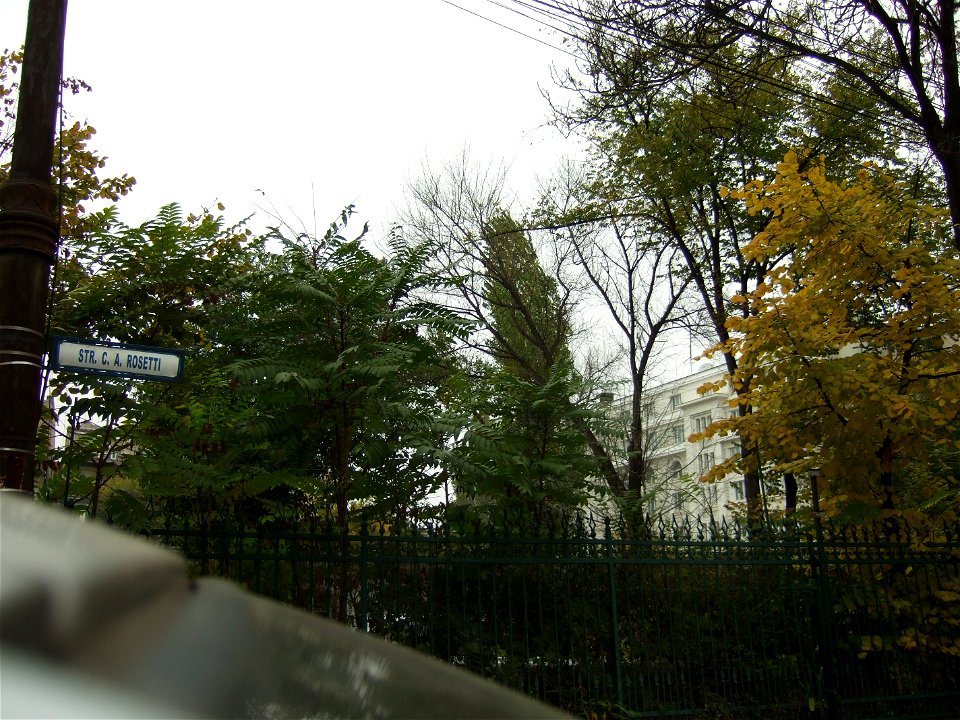 gradina-rosetti2009_1109_081957