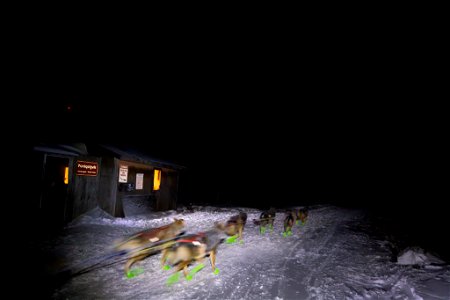 Kobuk 440 racer