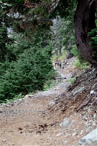 Snow Lake Trail-Snoqualmie Pass-7