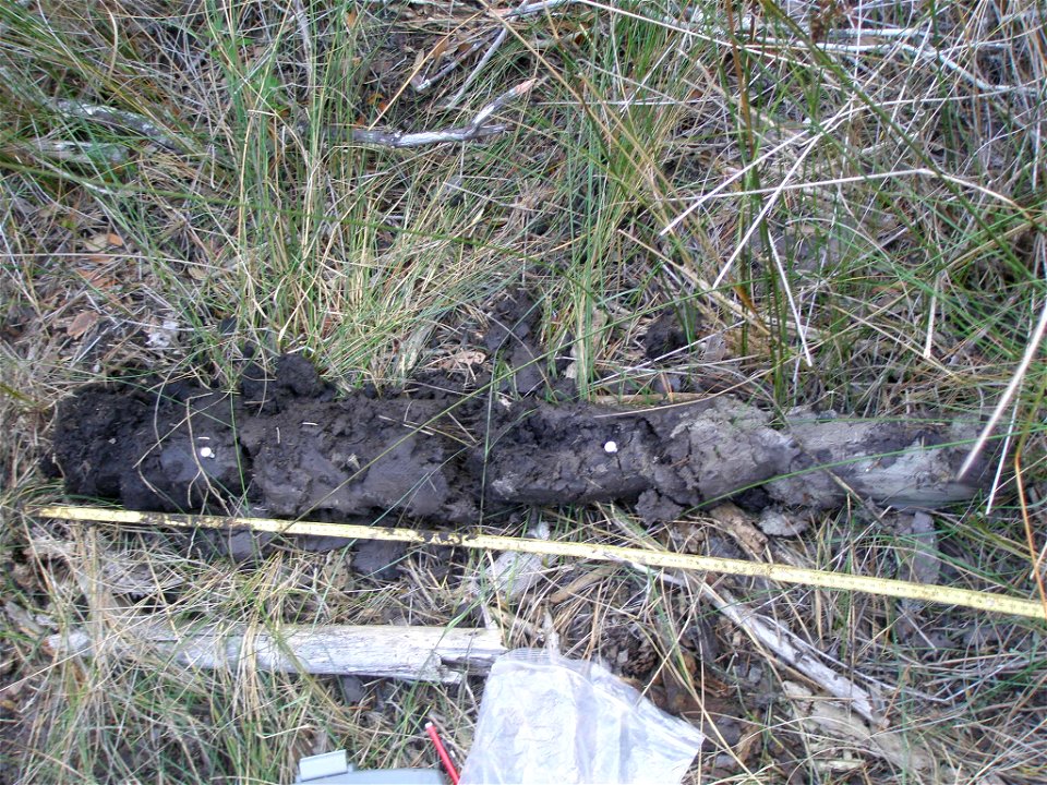 soil profile NWCA11-2066_05.23