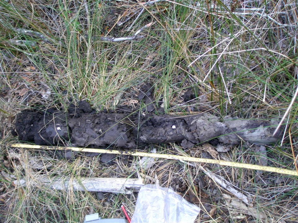 soil profile NWCA11-2066_05.23 photo