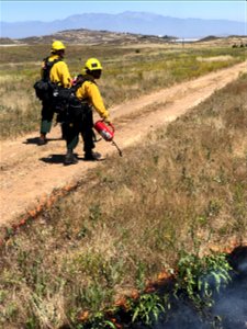 2021 BLM Fire Employee Photo Contest Category: Fire Personnel photo