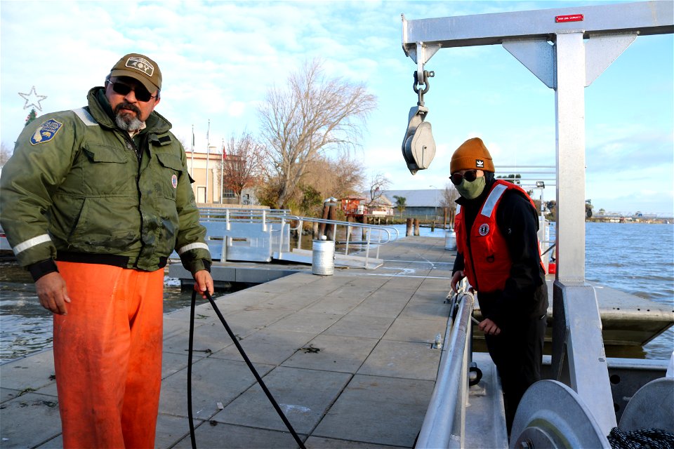 Delta smelt experimental release
