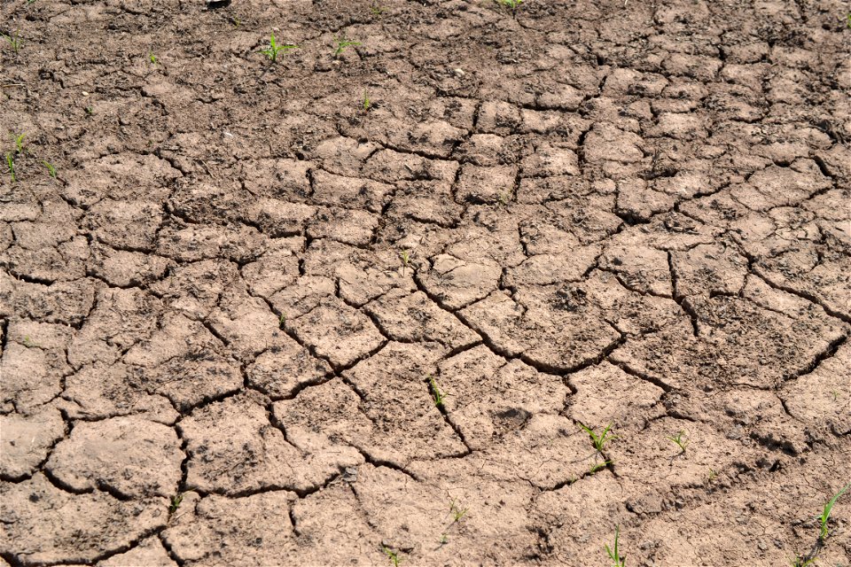 Free textures with cracks