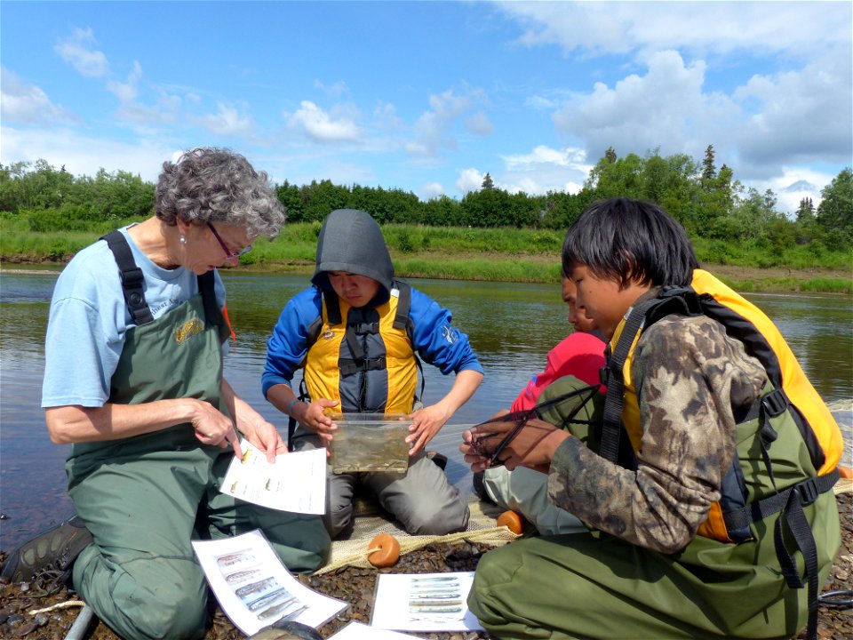 Seining for juvenile fish_07-13-2015_KSowl (20)