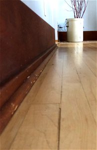 Converging Floor lines