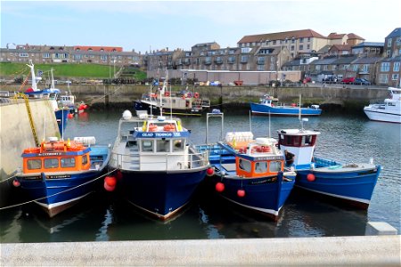 Seahouses_24-06-2022_2 photo