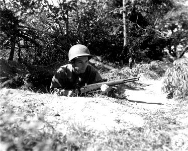 SC 364509 - Pfc. Harry F. Scott, Jr., of Haledon, N.J., of Co. C, 1st Bn., 126th Inf., stages one man war on Limon, Leyte, P.I.