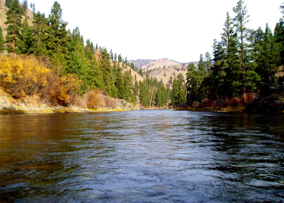 Middle Fork of the Salmon River in 2014