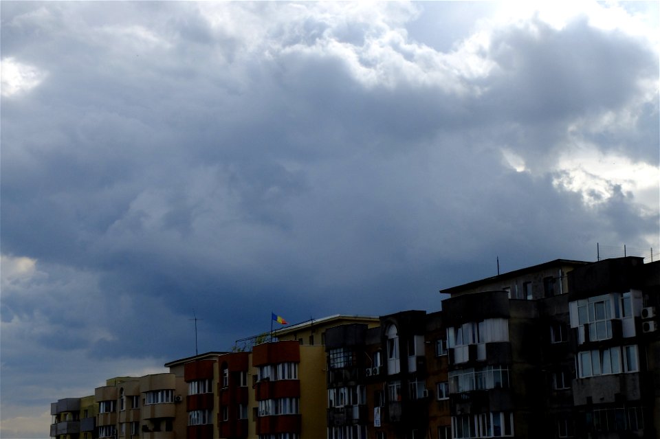 nori-Calea_vitan2014_1018_124716