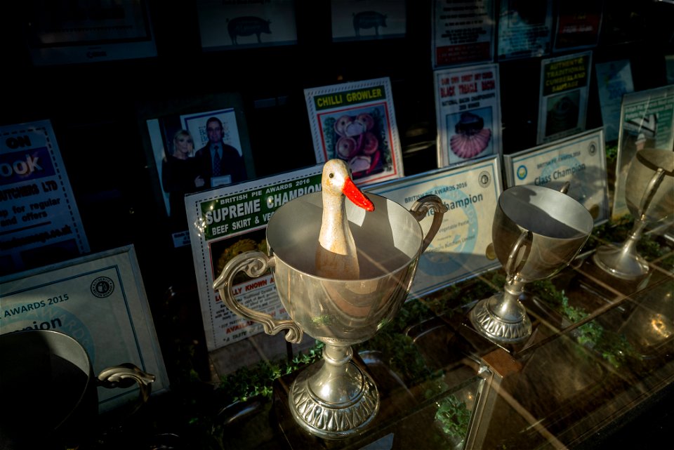 Championship Goose