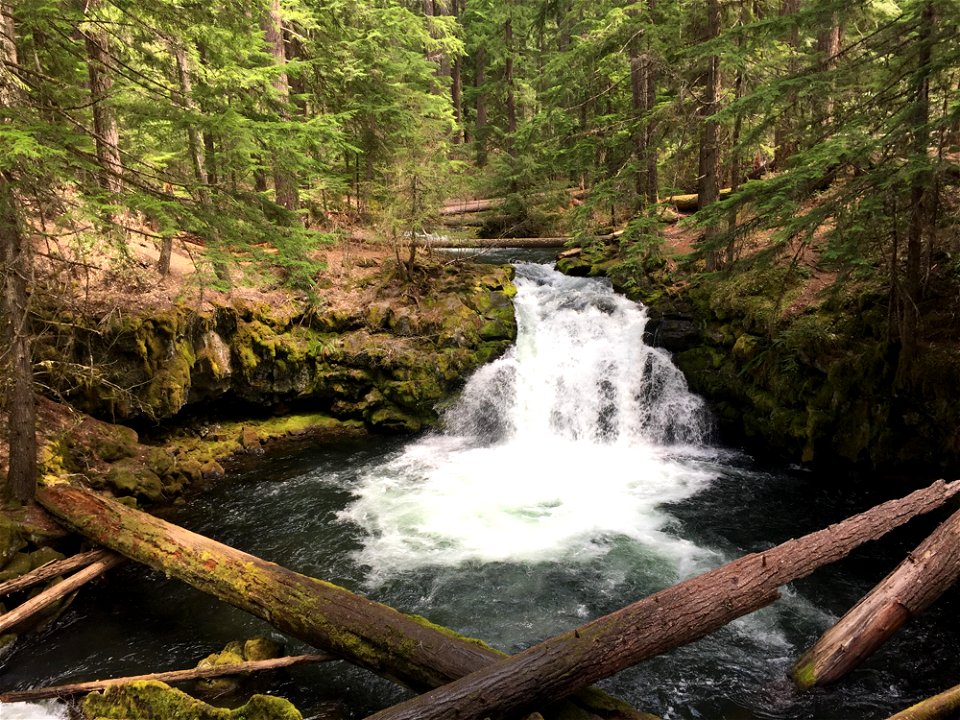 whitehorsefalls_sp2018jpg_49364489831_o