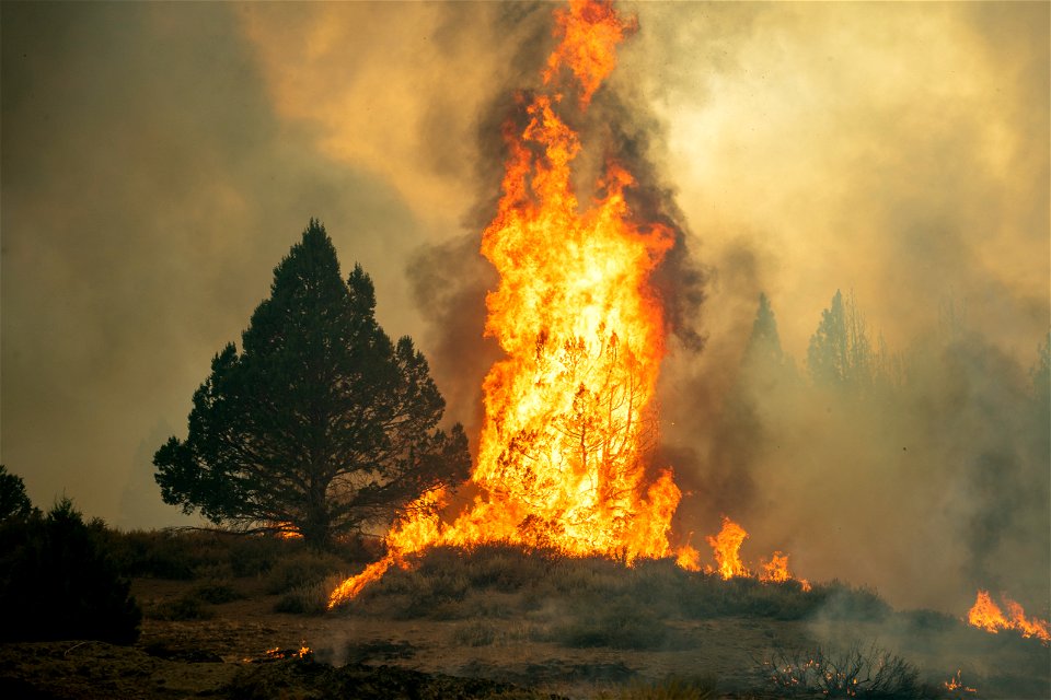 Soldiers on Dixie Fire