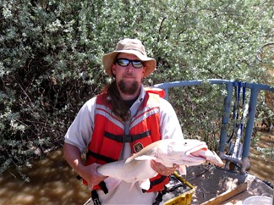 Narrow escape for a roundtail chub photo