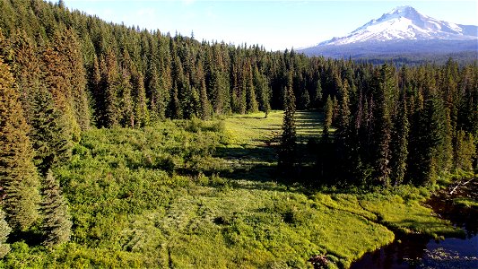 Mt. Hood National Forest Trillium Lake photo