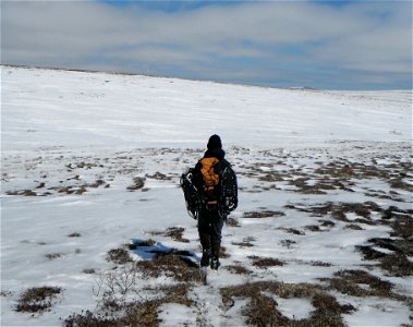 Off to work with snowshoes